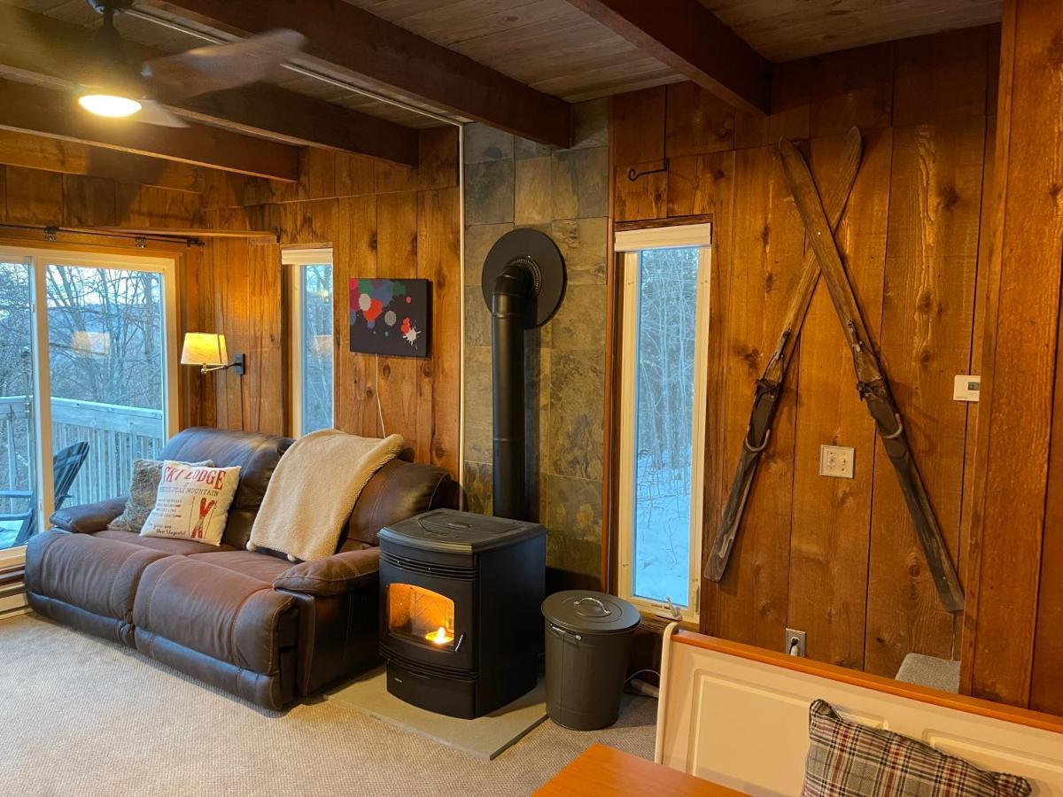 Mandy'S Mountain Chalet Dover エクステリア 写真