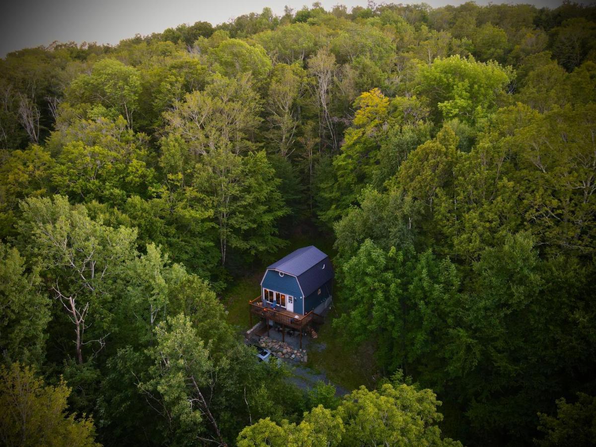Mandy'S Mountain Chalet Dover エクステリア 写真
